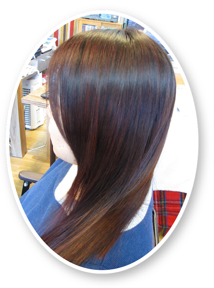 野草カラーイメージ