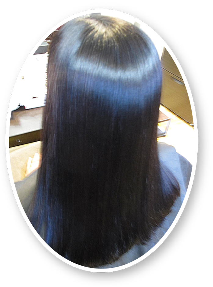 ノジアカラーイメージ