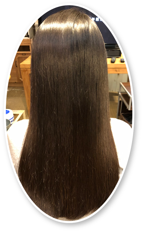 復元ケア（ヘアニスト）イメージ